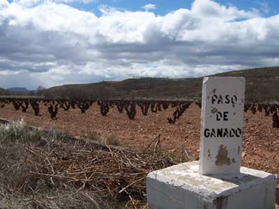 paso.jpg